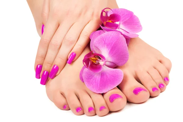 Sara Rose Pedicure & Manicure